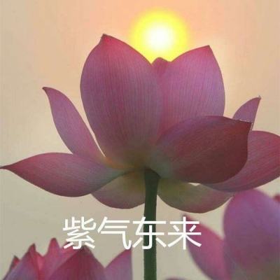 怪物大作战内购破解版下载